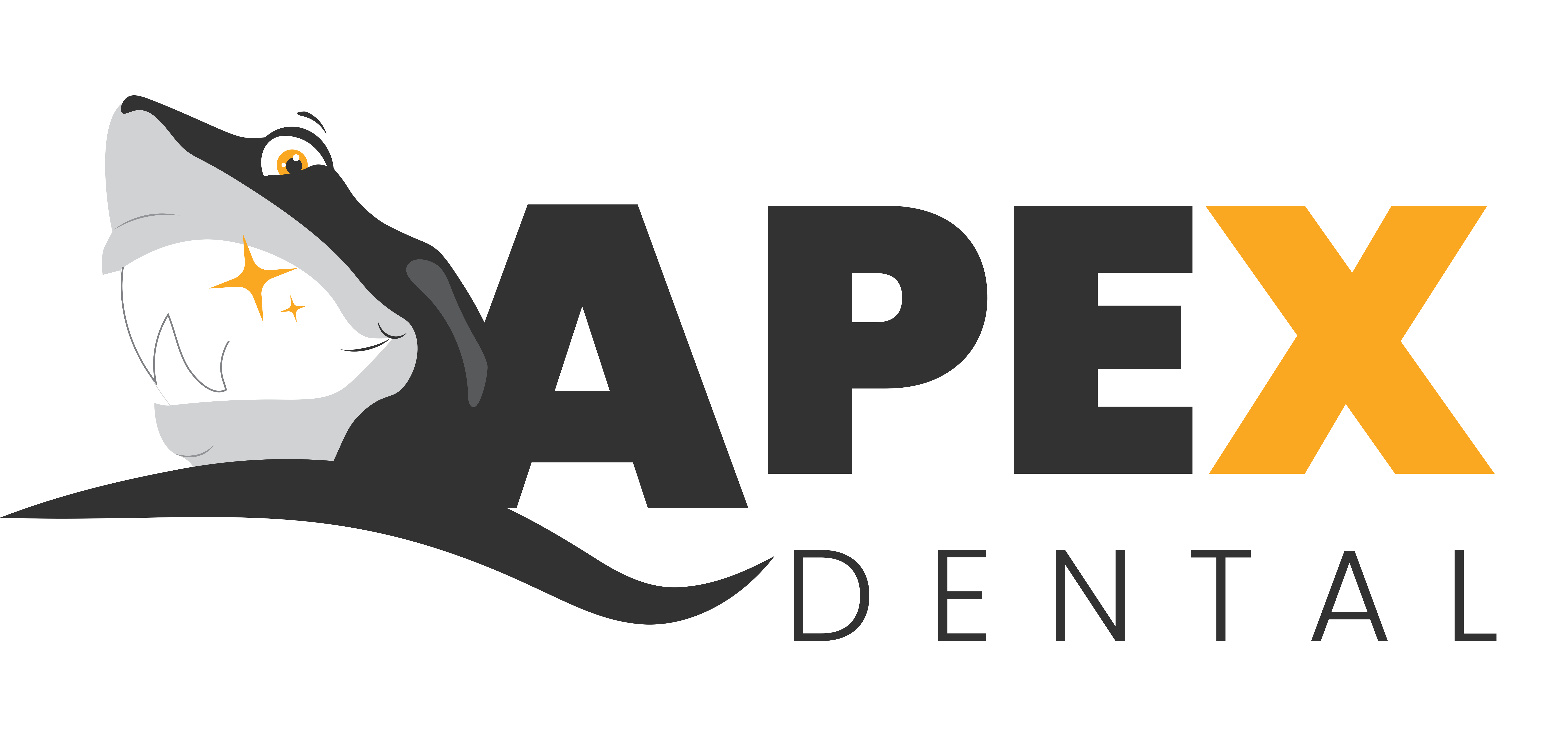 apex insurance logo